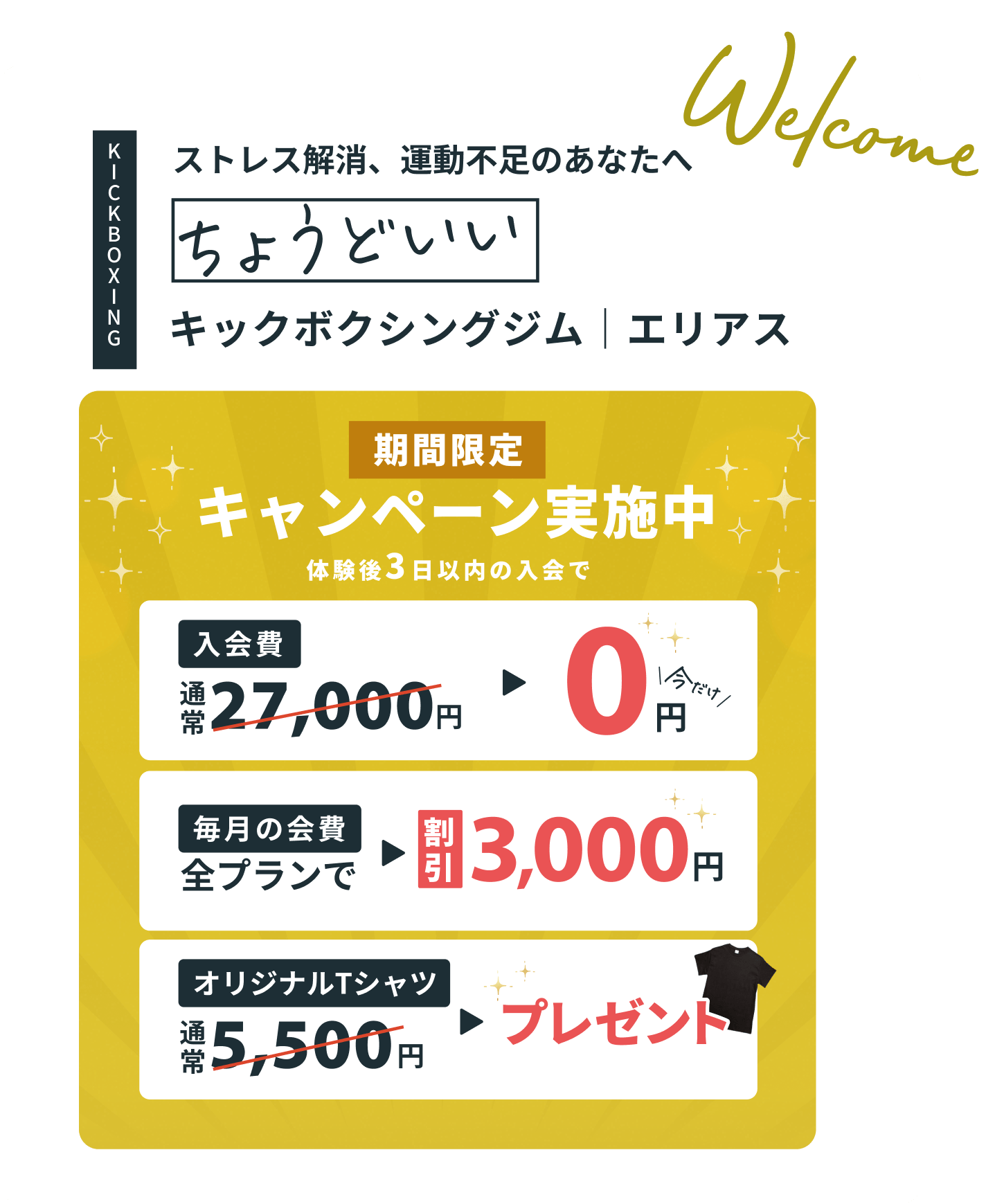 キックボクシングジム エリアス「Welcome 厳しすぎず、キラキラしすぎない ちょうどいい キックボクシングジム｜エリアス」。【期間限定キャンペーン実施中】体験後3日以内の入会で、入会金 通常27,000円が0円、毎月の会費が全プランで3,000円割引、オリジナルTシャツ（通常5,500円）をプレゼント。